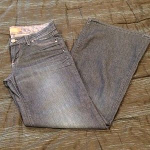 Paige Petite Denim - Bundy